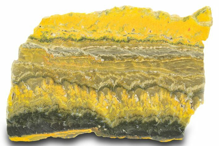 Polished Bumblebee Jasper Slab - Indonesia #299371